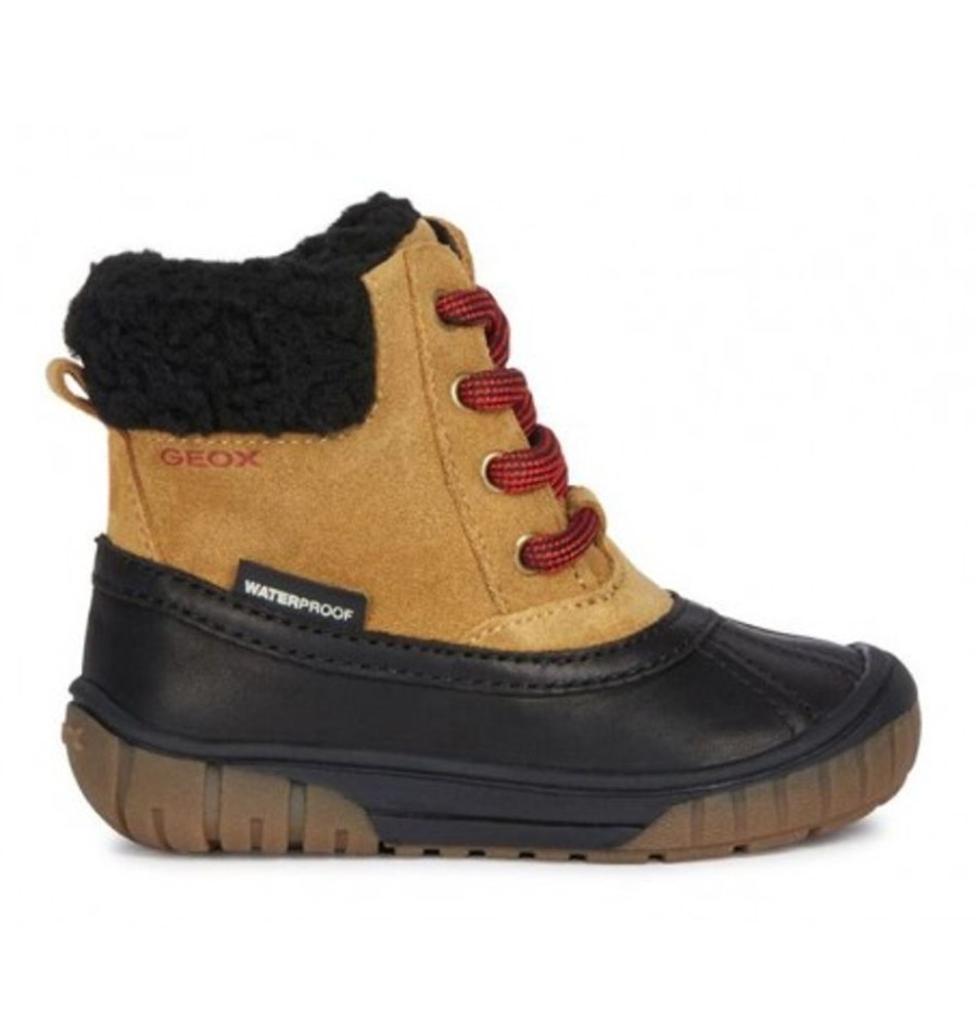 Kids Shoes Shoesissime Winter Boots | Geox Omar B B942Dc Tan