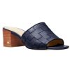 Women'S Shoes Shoesissime Sandals | Michael Kors Ingrid Woven Midheel Mule 40S3Igms Blue